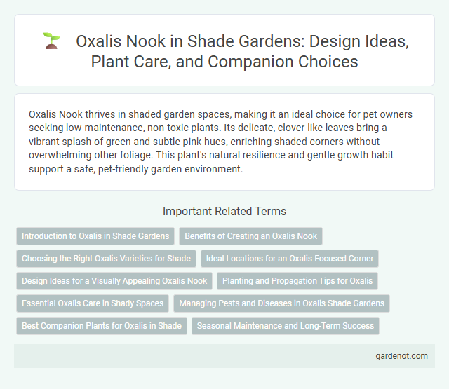 Oxalis Nook in Shade Gardens: Design Ideas, Plant Care, and Companion Choices