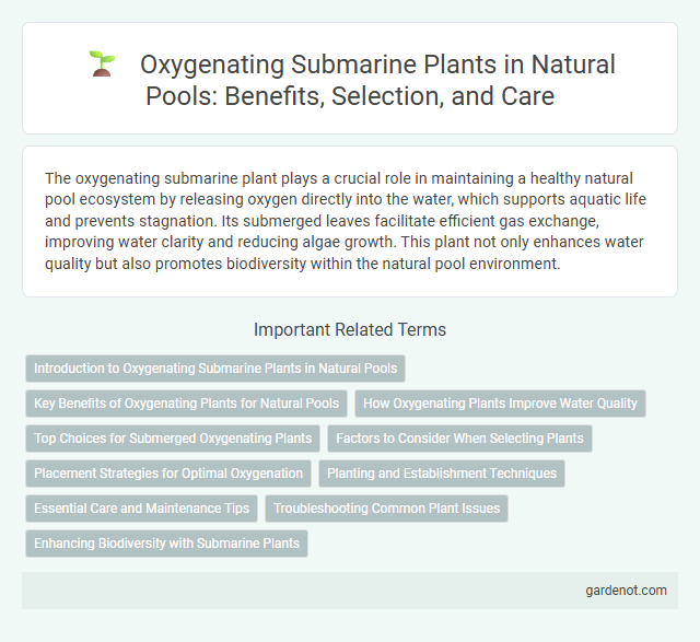 Oxygenating Submarine Plants in Natural Pools: Benefits, Selection, and Care