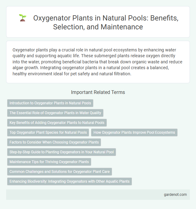 Oxygenator Plants in Natural Pools: Benefits, Selection, and Maintenance