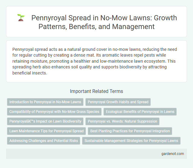 Pennyroyal Spread in No-Mow Lawns: Growth Patterns, Benefits, and Management