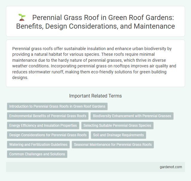 Perennial Grass Roof in Green Roof Gardens: Benefits, Design Considerations, and Maintenance
