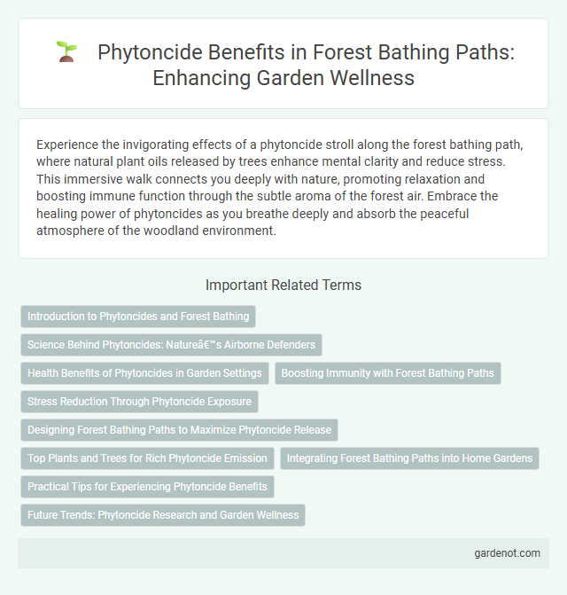 Phytoncide Benefits in Forest Bathing Paths: Enhancing Garden Wellness