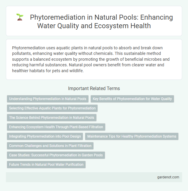 Phytoremediation in Natural Pools: Enhancing Water Quality and Ecosystem Health