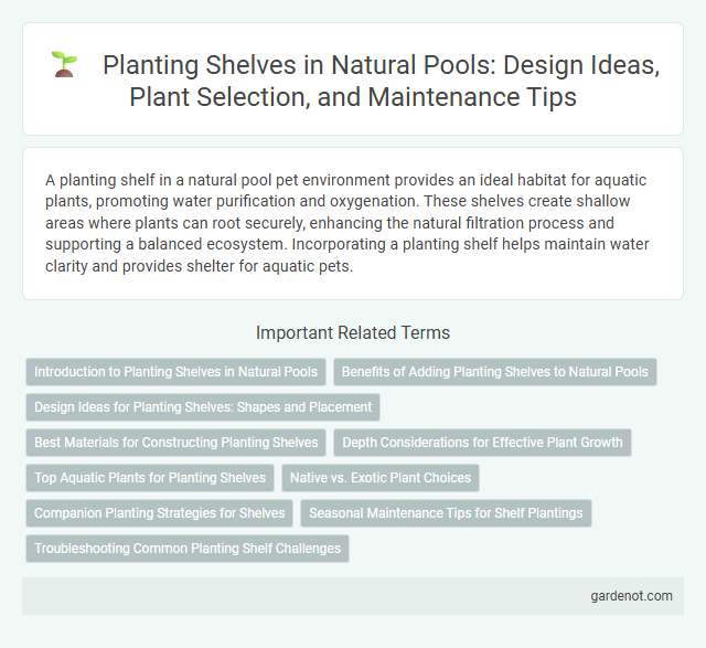 Planting Shelves in Natural Pools: Design Ideas, Plant Selection, and Maintenance Tips