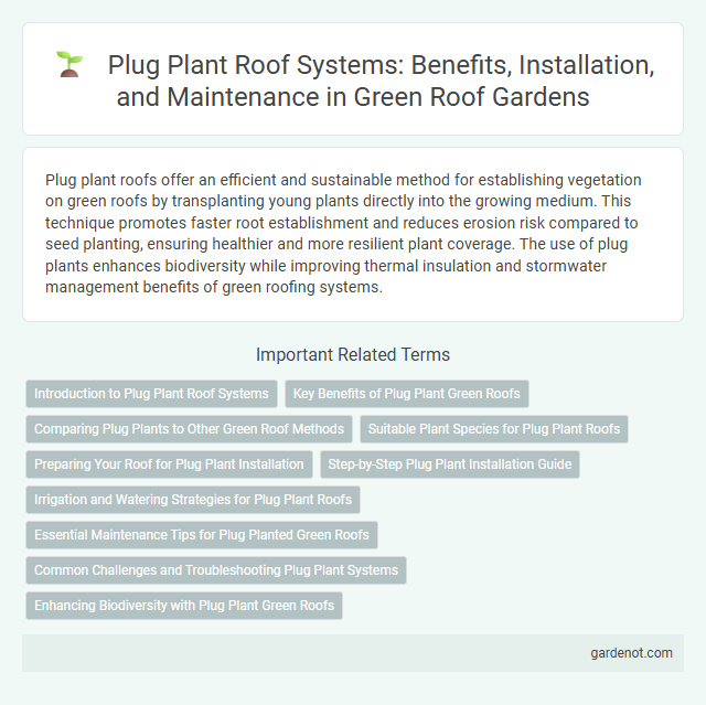 Plug Plant Roof Systems: Benefits, Installation, and Maintenance in Green Roof Gardens