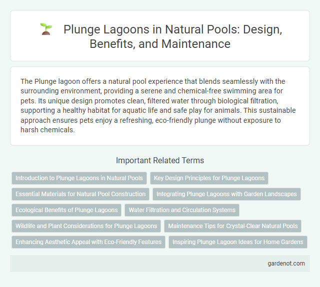 Plunge Lagoons in Natural Pools: Design, Benefits, and Maintenance
