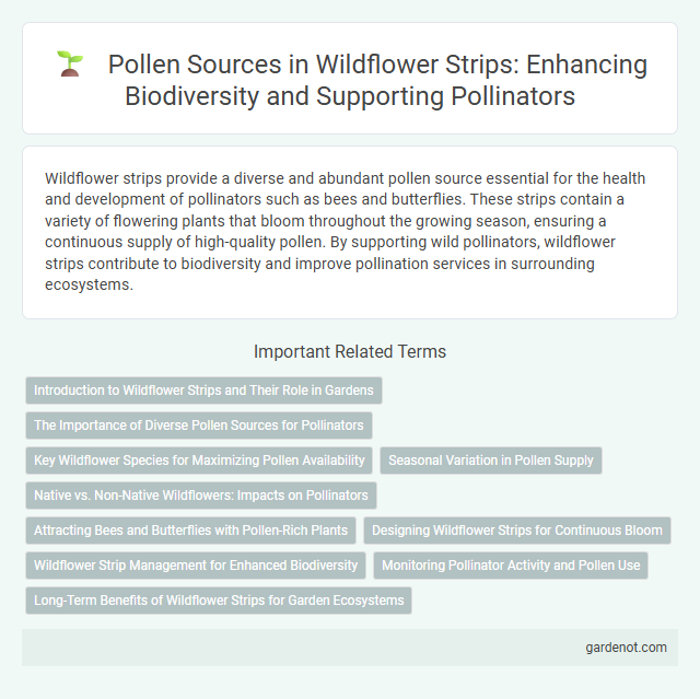 Pollen Sources in Wildflower Strips: Enhancing Biodiversity and Supporting Pollinators
