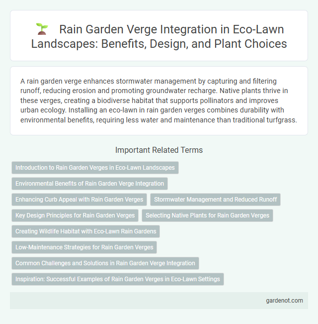Rain Garden Verge Integration in Eco-Lawn Landscapes: Benefits, Design, and Plant Choices