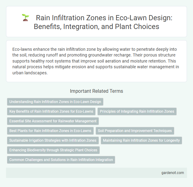 Rain Infiltration Zones in Eco-Lawn Design: Benefits, Integration, and Plant Choices