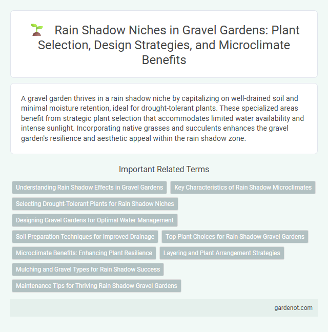 Rain Shadow Niches in Gravel Gardens: Plant Selection, Design Strategies, and Microclimate Benefits