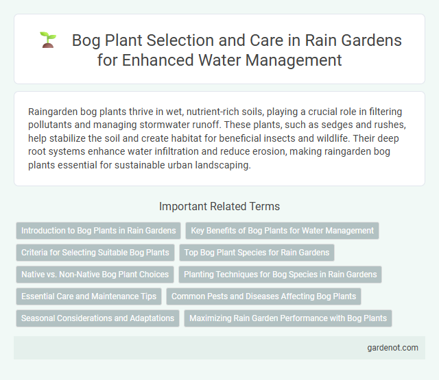 Bog Plant Selection and Care in Rain Gardens for Enhanced Water Management