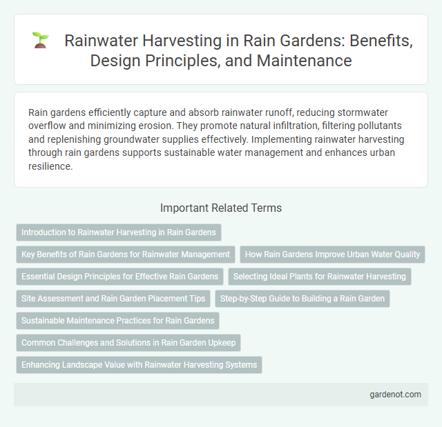 Rainwater Harvesting in Rain Gardens: Benefits, Design Principles, and Maintenance
