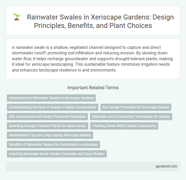 Rainwater Swales in Xeriscape Gardens: Design Principles, Benefits, and Plant Choices