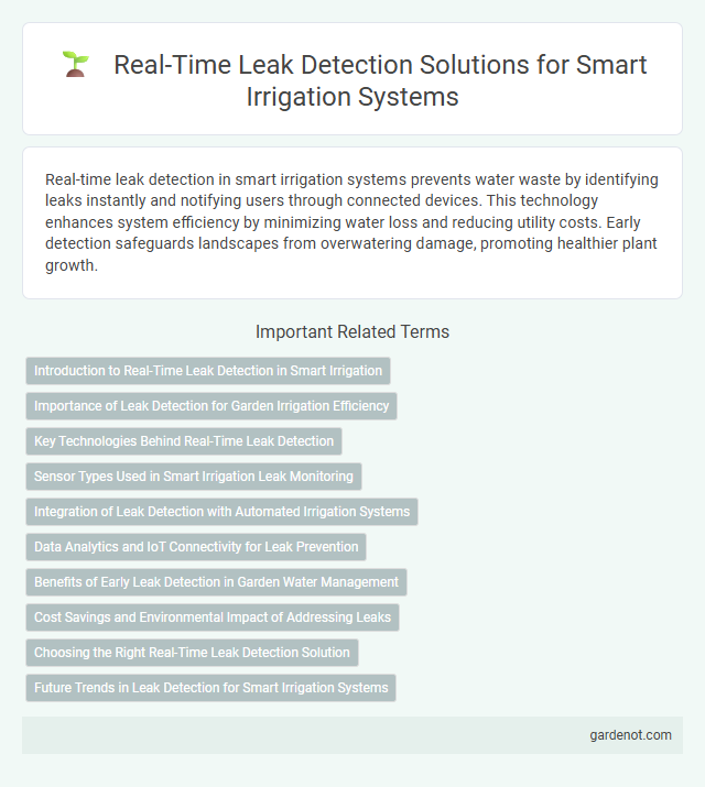 Real-Time Leak Detection Solutions for Smart Irrigation Systems