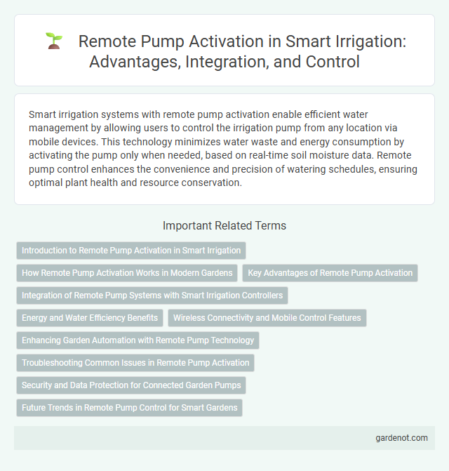 Remote Pump Activation in Smart Irrigation: Advantages, Integration, and Control