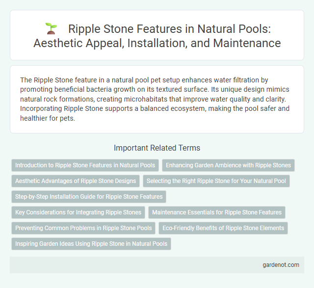 Ripple Stone Features in Natural Pools: Aesthetic Appeal, Installation, and Maintenance