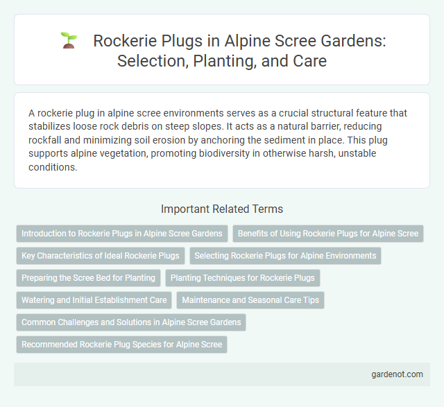 Rockerie Plugs in Alpine Scree Gardens: Selection, Planting, and Care