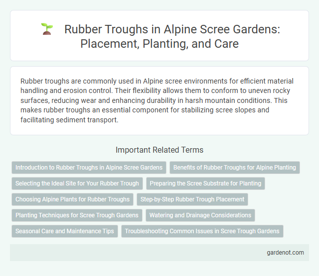 Rubber Troughs in Alpine Scree Gardens: Placement, Planting, and Care