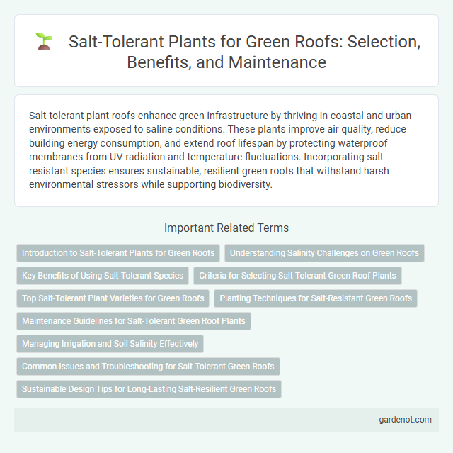 Salt-Tolerant Plants for Green Roofs: Selection, Benefits, and Maintenance