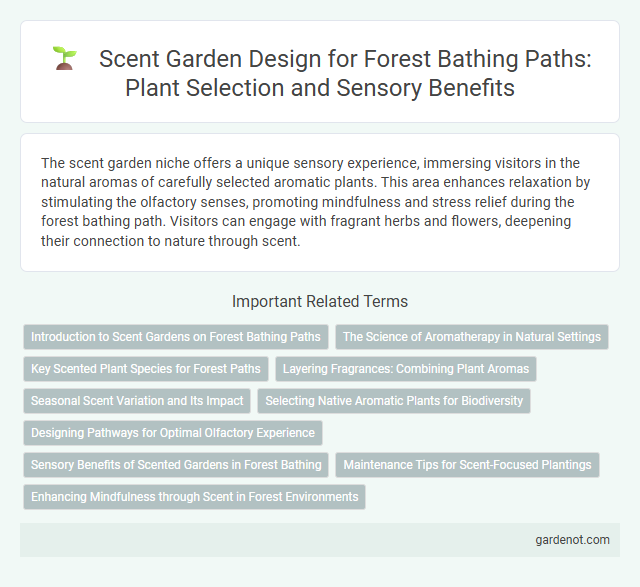 Scent Garden Design for Forest Bathing Paths: Plant Selection and Sensory Benefits
