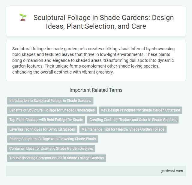 Sculptural Foliage in Shade Gardens: Design Ideas, Plant Selection, and Care