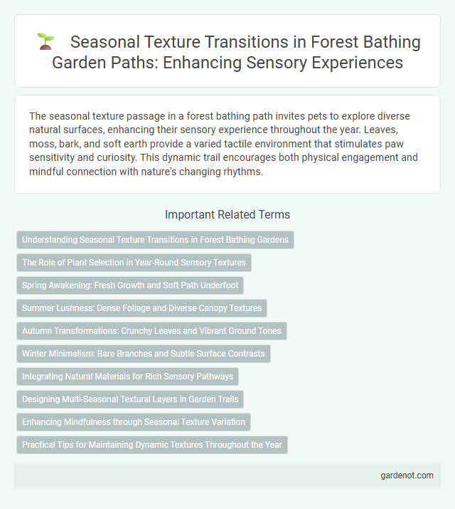 Seasonal Texture Transitions in Forest Bathing Garden Paths: Enhancing Sensory Experiences
