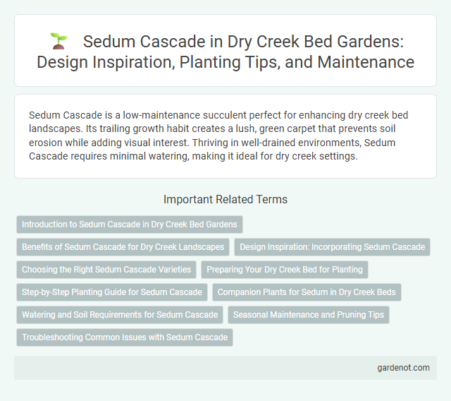 Sedum Cascade in Dry Creek Bed Gardens: Design Inspiration, Planting Tips, and Maintenance