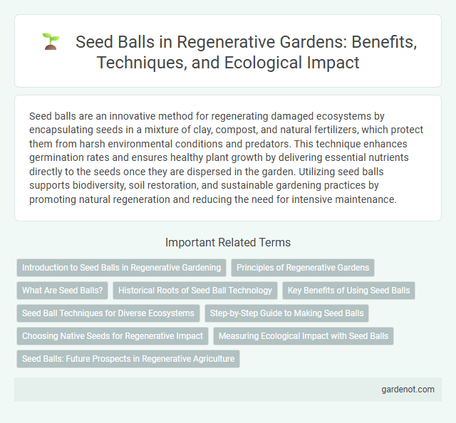 Seed Balls in Regenerative Gardens: Benefits, Techniques, and Ecological Impact