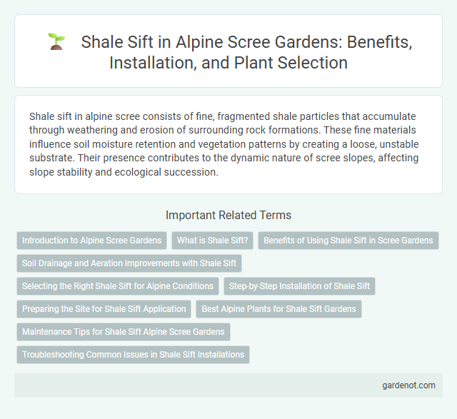 Shale Sift in Alpine Scree Gardens: Benefits, Installation, and Plant Selection