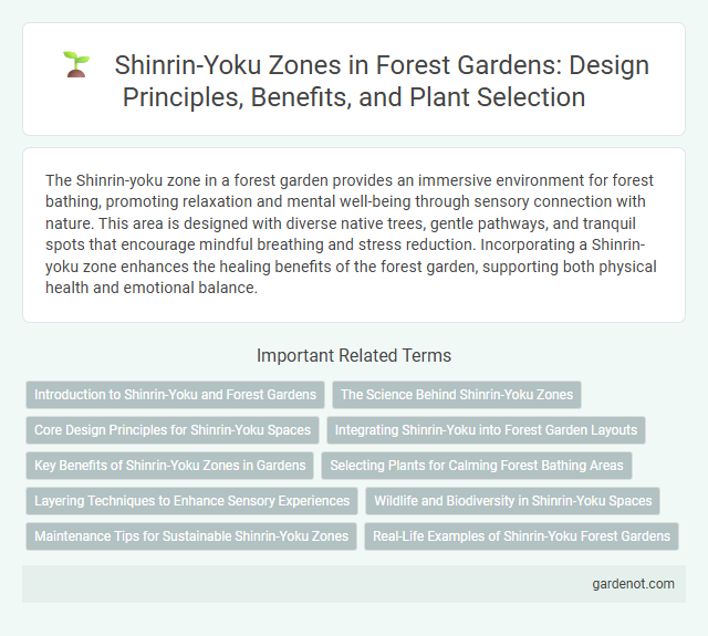 Shinrin-Yoku Zones in Forest Gardens: Design Principles, Benefits, and Plant Selection