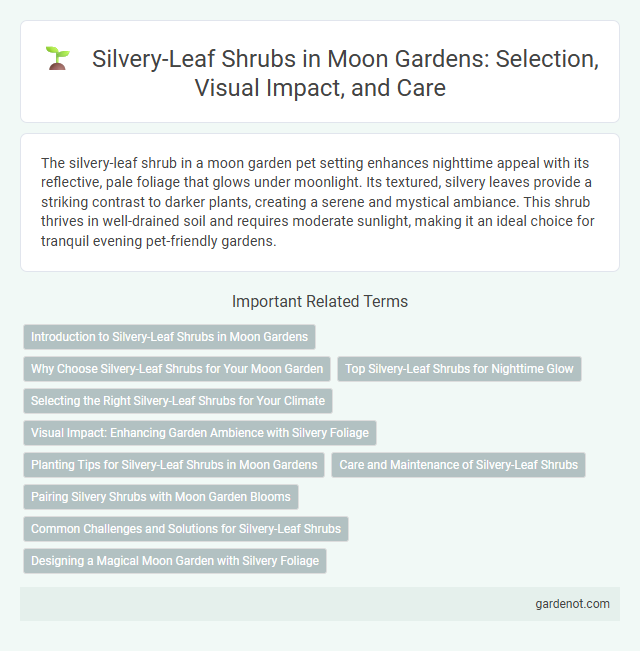 Silvery-Leaf Shrubs in Moon Gardens: Selection, Visual Impact, and Care