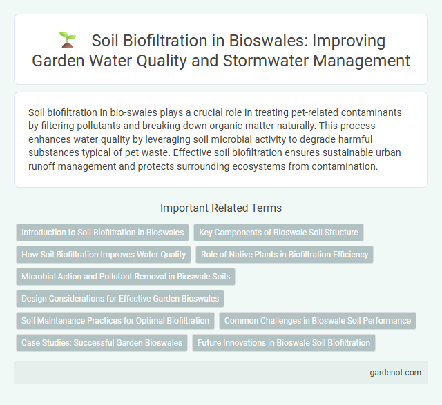 Soil Biofiltration in Bioswales: Improving Garden Water Quality and Stormwater Management