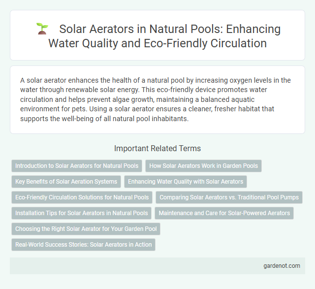 Solar Aerators in Natural Pools: Enhancing Water Quality and Eco-Friendly Circulation