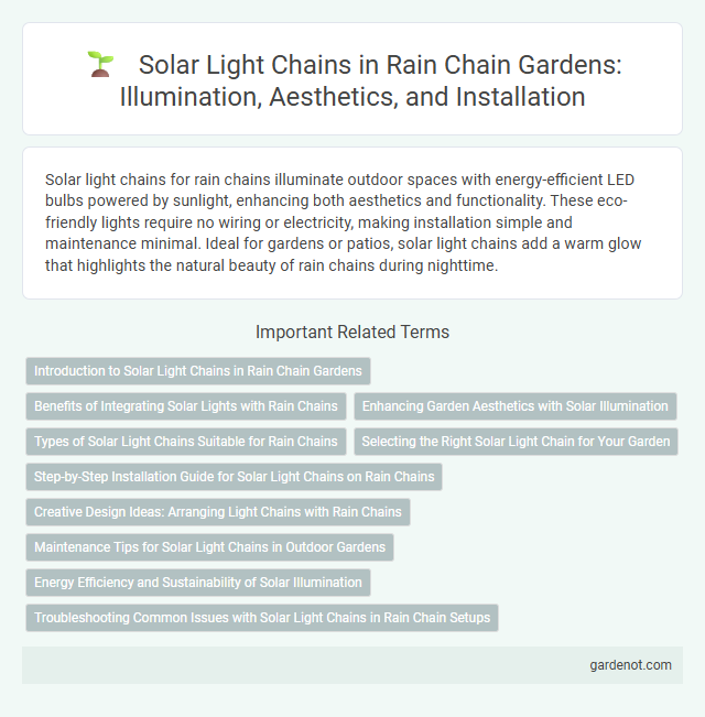 Solar Light Chains in Rain Chain Gardens: Illumination, Aesthetics, and Installation