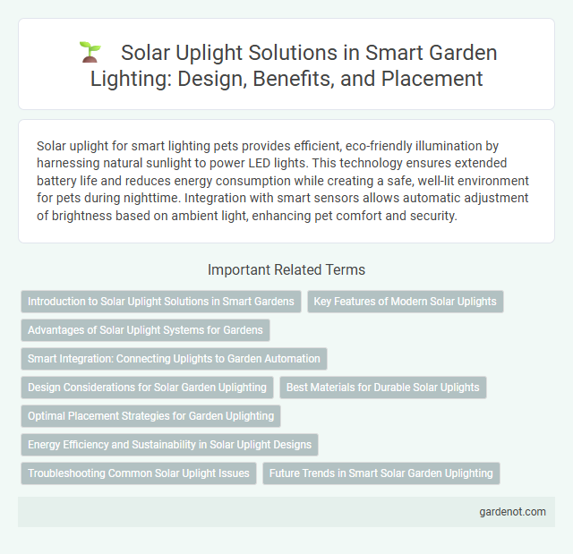 Solar Uplight Solutions in Smart Garden Lighting: Design, Benefits, and Placement