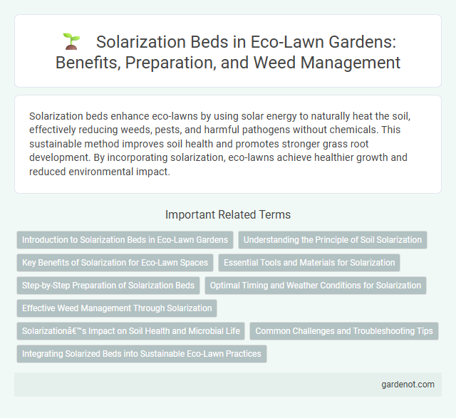 Solarization Beds in Eco-Lawn Gardens: Benefits, Preparation, and Weed Management