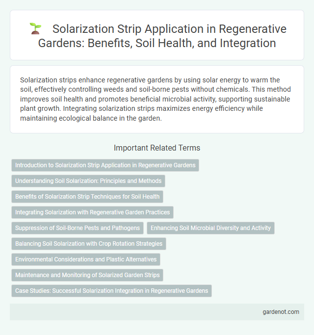Solarization Strip Application in Regenerative Gardens: Benefits, Soil Health, and Integration