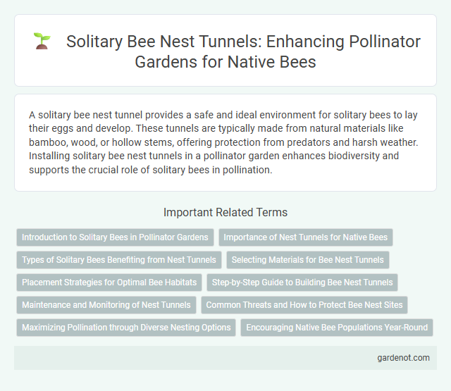 Solitary Bee Nest Tunnels: Enhancing Pollinator Gardens for Native Bees