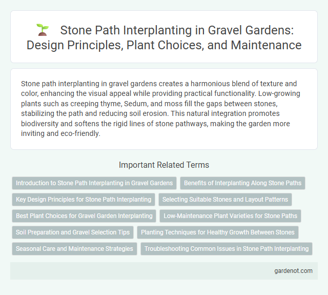 Stone Path Interplanting in Gravel Gardens: Design Principles, Plant Choices, and Maintenance