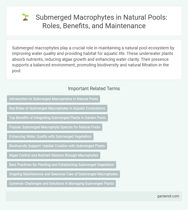 Submerged Macrophytes in Natural Pools: Roles, Benefits, and Maintenance