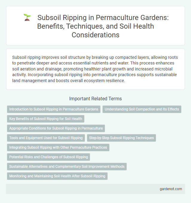 Subsoil Ripping in Permaculture Gardens: Benefits, Techniques, and Soil Health Considerations