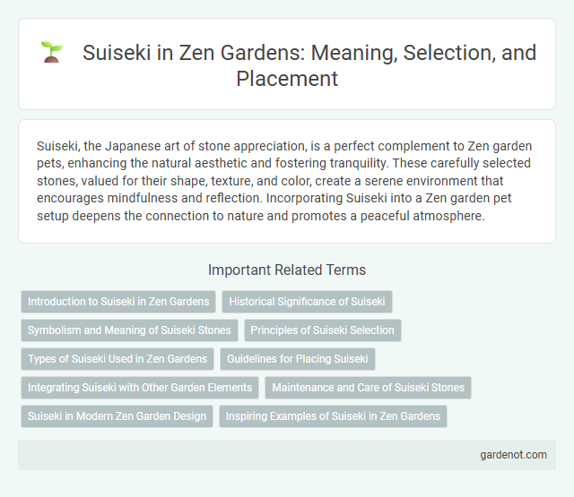 Suiseki in Zen Gardens: Meaning, Selection, and Placement