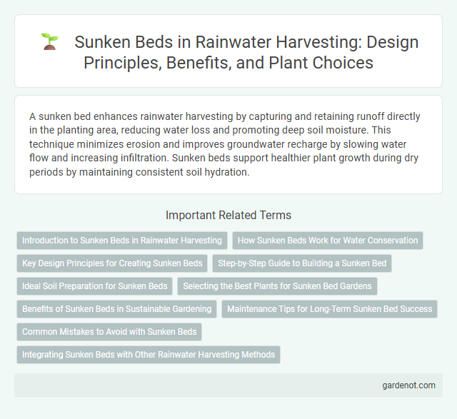 Sunken Beds in Rainwater Harvesting: Design Principles, Benefits, and Plant Choices