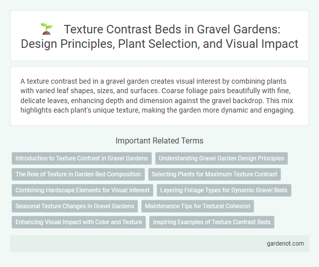 Texture Contrast Beds in Gravel Gardens: Design Principles, Plant Selection, and Visual Impact