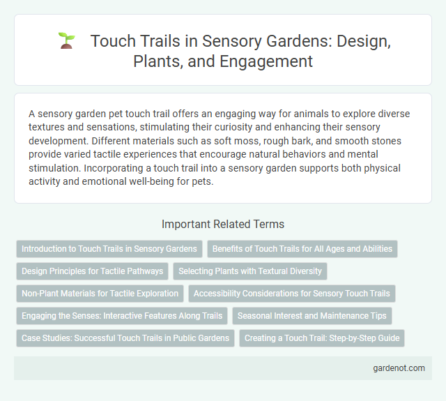 Touch Trails in Sensory Gardens: Design, Plants, and Engagement