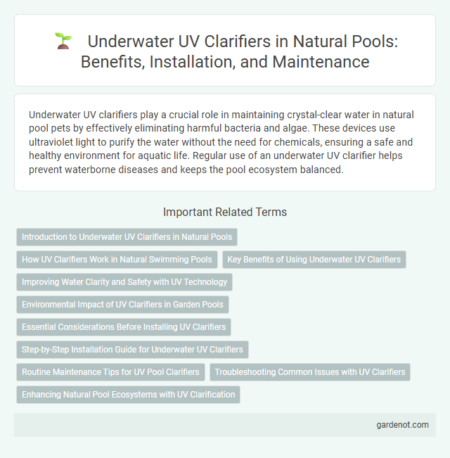Underwater UV Clarifiers in Natural Pools: Benefits, Installation, and Maintenance