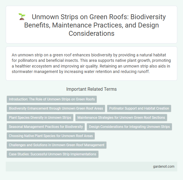 Unmown Strips on Green Roofs: Biodiversity Benefits, Maintenance Practices, and Design Considerations