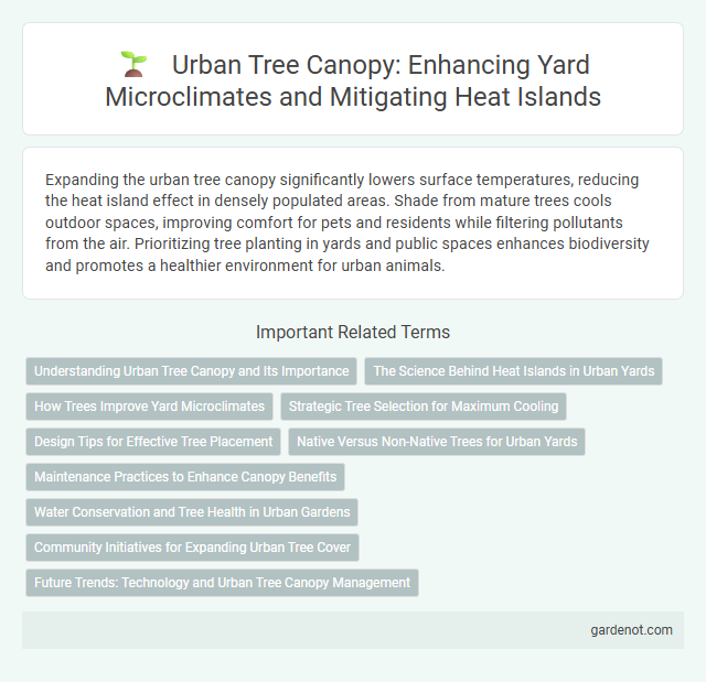 Urban Tree Canopy: Enhancing Yard Microclimates and Mitigating Heat Islands
