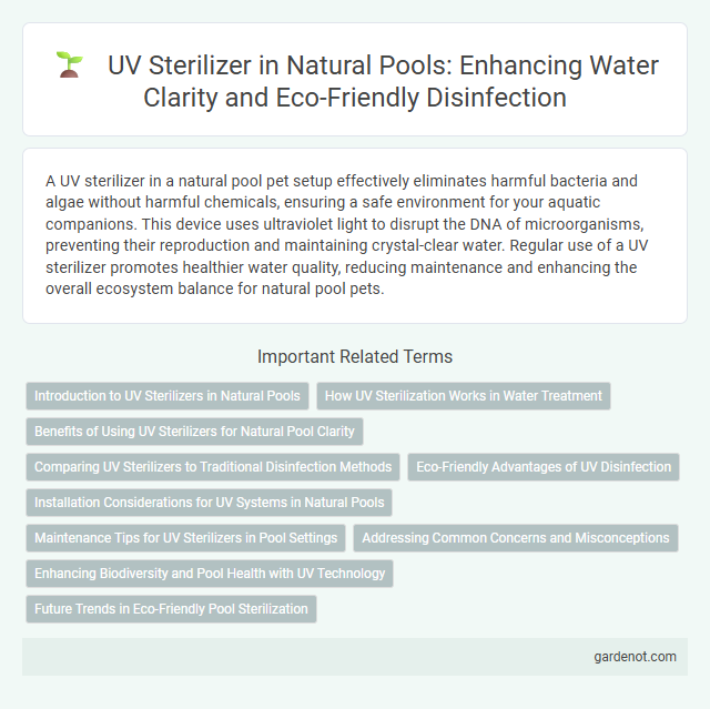 UV Sterilizer in Natural Pools: Enhancing Water Clarity and Eco-Friendly Disinfection