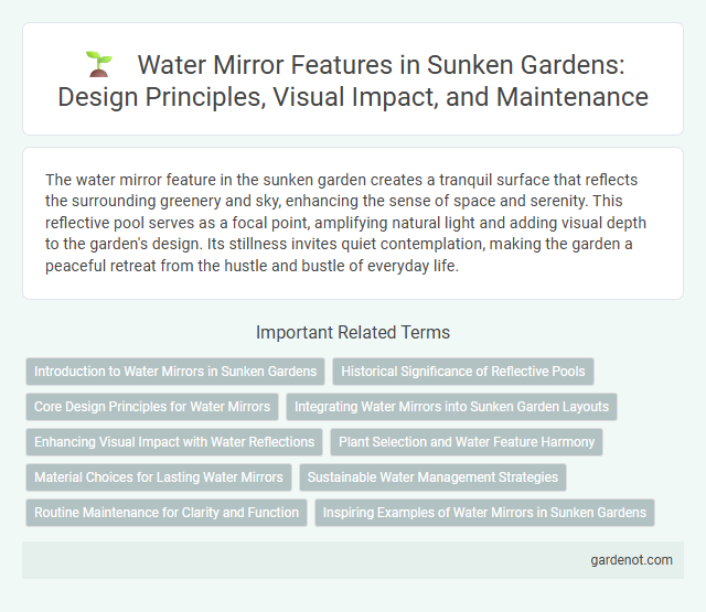 Water Mirror Features in Sunken Gardens: Design Principles, Visual Impact, and Maintenance